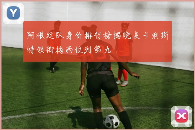 阿根廷队身价排行榜揭晓麦卡利斯特领衔梅西位列第九